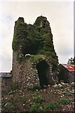 S6513 : Gorteens Castle, Co. Kilkenny by Kieran Campbell