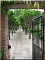 Walled garden, Old Rectory