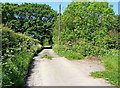 End of Tanners Hill near Wyre Forest