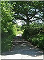 Looking towards Tanners Hill, near Wyre Forest