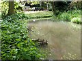 Painswick Stream