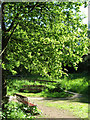 Seats, Millennium Green