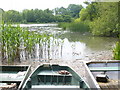 Burton Mill Pond