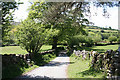 Widecombe in the Moor: lane by East Shallowford