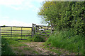 Moretonhampstead: path to Mardon Down