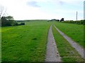 Bridle path near Nettlecombe Farm