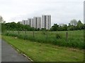 Kennishead Flats from Kennishead Road