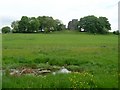 Marsh land and Crookston Castle