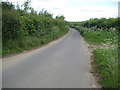 Bramfield: Lane south towards Welwyn Garden City