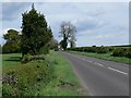 The Park towards Bull in the Oak