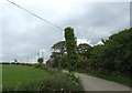 Approaching Pen y parc cottage