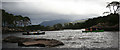 NG9272 : Meall Subhainn, Loch Maree by Nic Bullivant