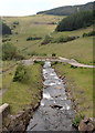SS8993 : The Afon Garw just to the north of Blaengarw by eswales
