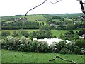 Fields and polytunnels below Hambeer Lane, Exeter