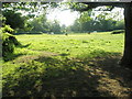 Horses grazing at Wade Court Farm