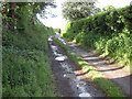 Bridleway, Bickington