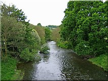 SN9985 : Afon Hafren (River Severn) by P L Chadwick