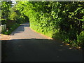 Footpath crosses Coach Road