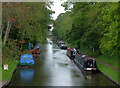 Shropshire Union Canal at Wheaton Aston, Staffordshire