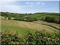 Valley east of Blackawton