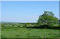 Countryside near Buckland Newton