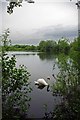 Pochard Lake