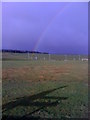 Field and rainbow