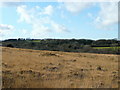 Common land near Demelza 2