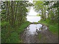 Milton Loch, Crocketford