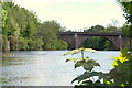 View of Blairgowrie Bridge