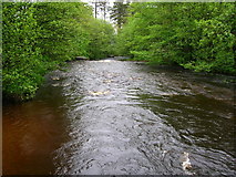 SD6650 : River Dunsop by John H Darch