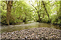 River Churnet at Oakamoor