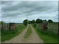 Track to Field House Farm