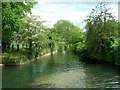 Foston Beck