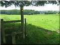 Footpath junction at stile