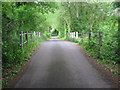 The bridge over Eastwell Lake