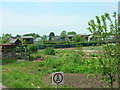 Allotment Gardens, Hornsea