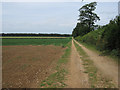 Footpath past Hall Farm