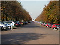 The main avenue in Greenwich Park