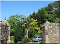 Ornamental trees in the gardens of Y Swellies house