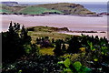 C0635 : Ards Forest Park - Clonmass Bay from forest track by Joseph Mischyshyn