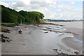 SO6501 : River Severn Foreshore by jeff collins