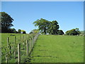 Clwydian Way near Colomendy