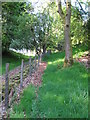 Clwydian Way south of Maeshafn