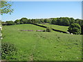 Glan-y-gors Farm, Farmland and Moel Findeg