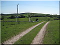 Footpaths on Tracks and the Road