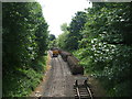 The Mid Norfolk railway spur