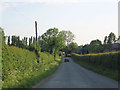 SJ2616 : Lane near Maerdy Farm by John Firth