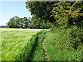 Looking SW along footpath from The Lynch