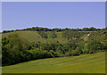 The Saddle Knob and The Horseshoe